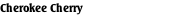 Cherokee Cherry