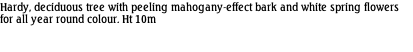 Hardy, deciduous tree with peeling mahogany-effect bark and white spring flowers for all year round colour. Ht 10m