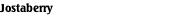 Jostaberry