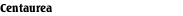 Centaurea