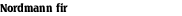 Nordmann fir
