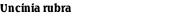 Uncinia rubra