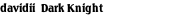 davidii  Dark Knight