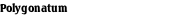 Polygonatum