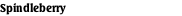 Spindleberry