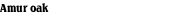 Amur oak