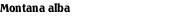 Montana alba