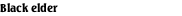Black elder