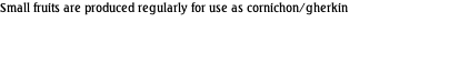 Small fruits are produced regularly for use as cornichon/gherkin