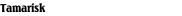 Tamarisk
