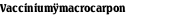 Vacciniumÿmacrocarpon