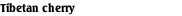 Tibetan cherry