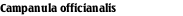 Campanula officianalis