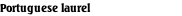 Portuguese laurel