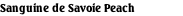 Sanguine de Savoie Peach