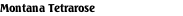 Montana Tetrarose