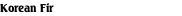 Korean Fir